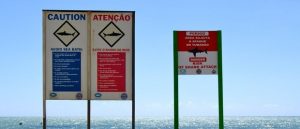 Panama City Shark Attack Caught on Camera
