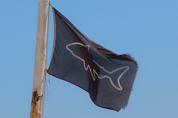 shark warning flag