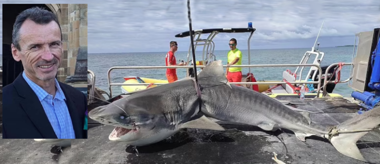 Video: Fatal shark attack caught on camera Vladimir Popov