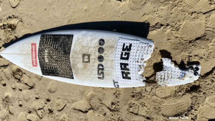 Kai's great white shark damaged surfboard.